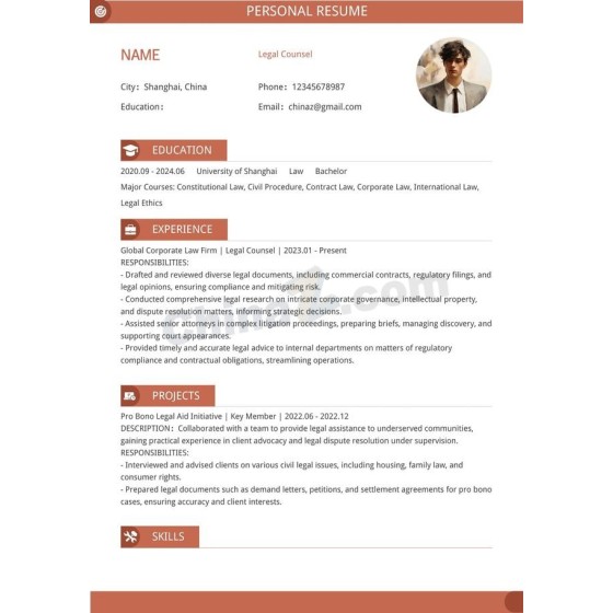 Professional Lawyer English Resume Template - Editable, Instant Download for Attorneys